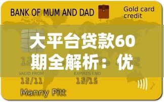 大平台贷款60期全解析:优势对比与申请注意事项 大平台贷款60期全解析:优势对比与申请注意事项
