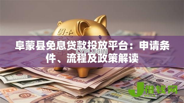 阜蒙县免息贷款投放平台：申请条件、流程及政策解读