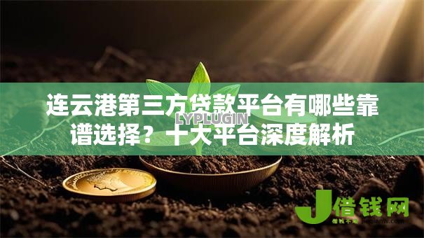 连云港第三方贷款平台有哪些靠谱选择？十大平台深度解析