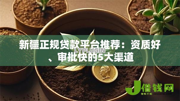 新疆正规贷款平台推荐：资质好、审批快的5大渠道
