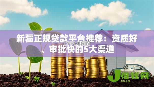 新疆正规贷款平台推荐：资质好、审批快的5大渠道
