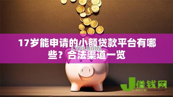 17岁能申请的小额贷款平台有哪些?合法渠道一览 17岁能申请的小额贷款平台有哪些?合法渠道一览