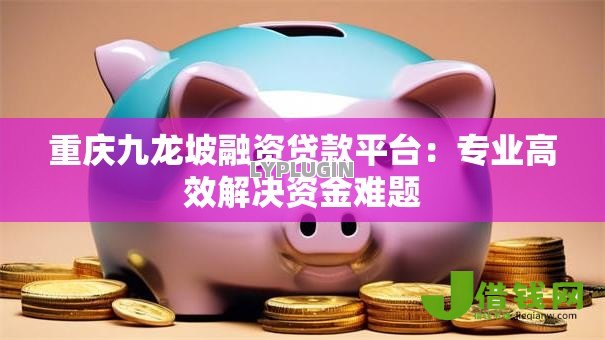 重庆九龙坡融资贷款平台:专业高效解决资金难题 重庆九龙坡融资贷款平台:专业高效解决资金难题