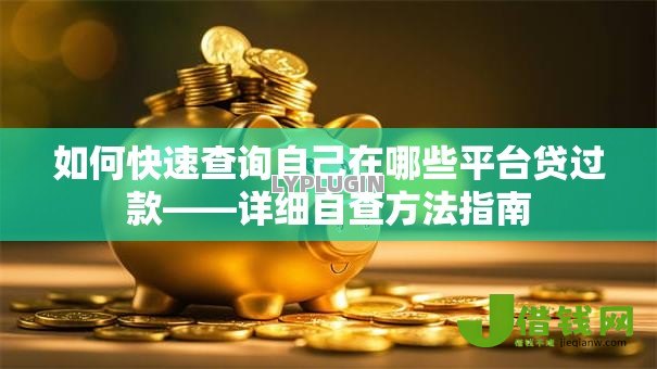 如何快速查询自己在哪些平台贷过款——详细自查方法指南 如何快速查询自己在哪些平台贷过款——详细自查方法指南