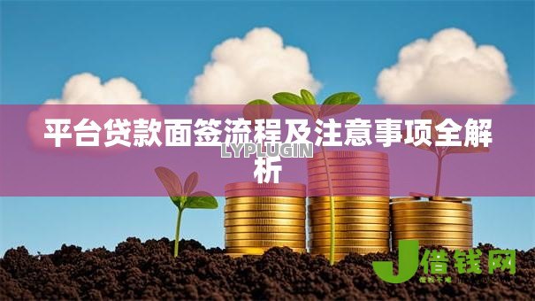 平台贷款面签流程及注意事项全解析 平台贷款面签流程及注意事项全解析