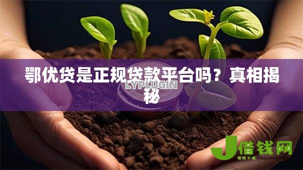 鄂优贷是正规贷款平台吗？真相揭秘