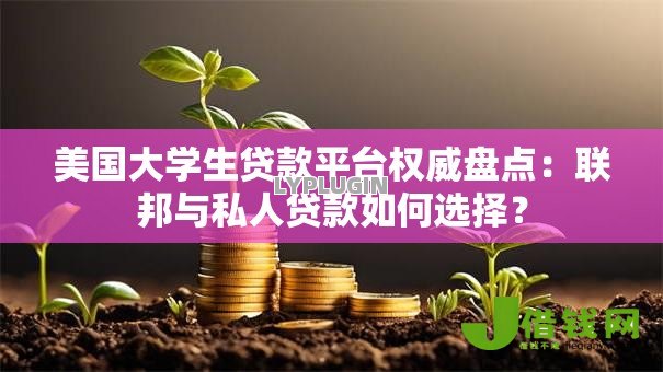美国大学生贷款平台权威盘点：联邦与私人贷款如何选择？