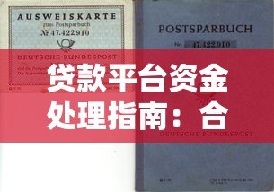贷款平台资金处理指南:合规操作与风险规避 贷款平台资金处理指南:合规操作与风险规避