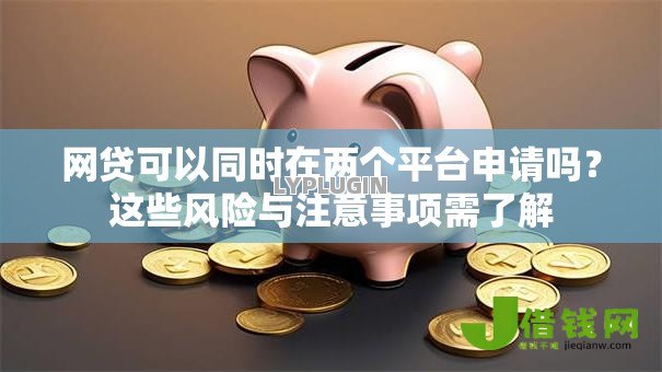 网贷可以同时在两个平台申请吗?这些风险与注意事项需了解 网贷可以同时在两个平台申请吗?这些风险与注意事项需了解