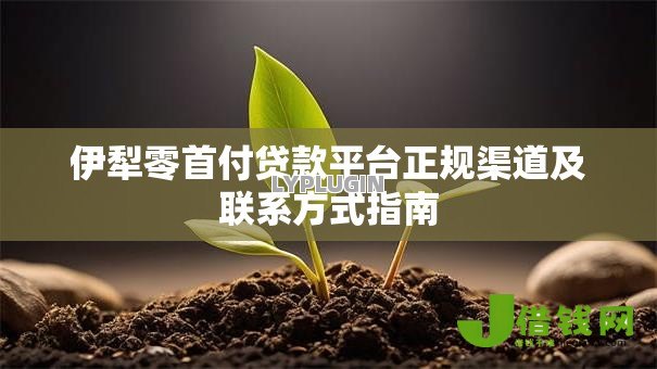 伊犁零首付贷款平台正规渠道及联系方式指南