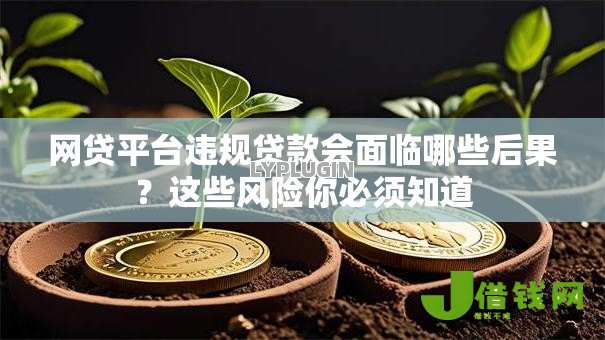 网贷平台违规贷款会面临哪些后果?这些风险你必须知道 网贷平台违规贷款会面临哪些后果?这些风险你必须知道