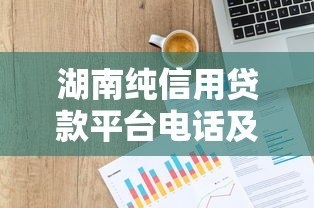 湖南纯信用贷款平台电话及申请指南 湖南纯信用贷款平台电话及申请指南