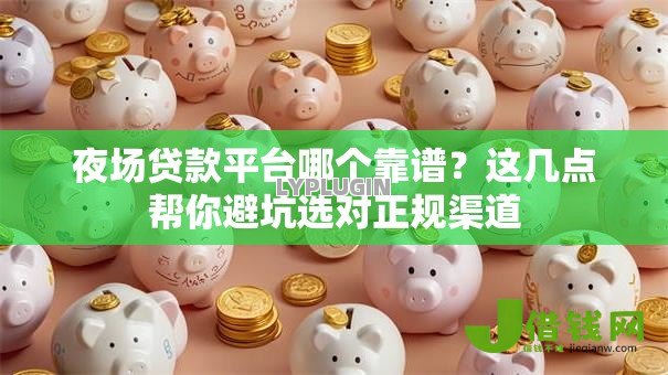 夜场贷款平台哪个靠谱？这几点帮你避坑选对正规渠道