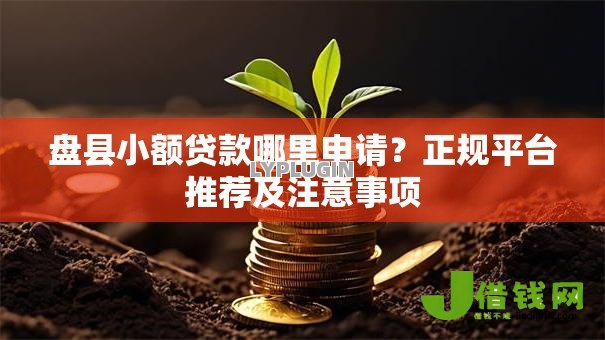 盘县小额贷款哪里申请?正规平台推荐及注意事项 盘县小额贷款哪里申请?正规平台推荐及注意事项