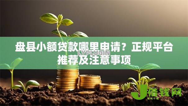 盘县小额贷款哪里申请?正规平台推荐及注意事项 盘县小额贷款哪里申请?正规平台推荐及注意事项