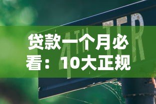贷款一个月必看：10大正规平台推荐及避坑指南