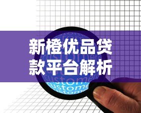 新橙优品贷款平台解析：产品类型、资质与用户真实评价