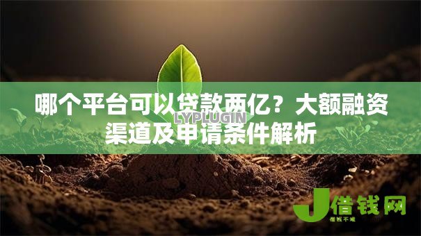 哪个平台可以贷款两亿?大额融资渠道及申请条件解析 哪个平台可以贷款两亿?大额融资渠道及申请条件解析