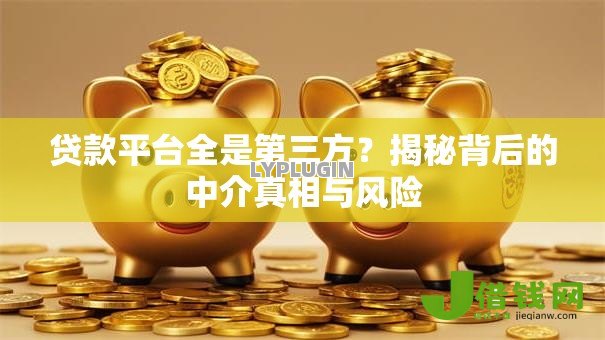贷款平台全是第三方？揭秘背后的中介真相与风险