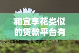 和宜享花类似的贷款平台有哪些？这5个靠谱平台值得一试