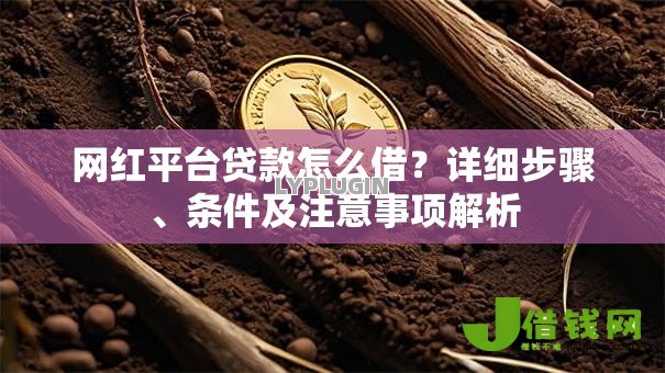 网红平台贷款怎么借?详细步骤、条件及注意事项解析 网红平台贷款怎么借?详细步骤、条件及注意事项解析