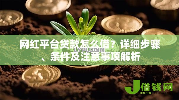 网红平台贷款怎么借?详细步骤、条件及注意事项解析 网红平台贷款怎么借?详细步骤、条件及注意事项解析