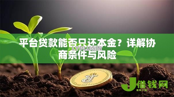 平台贷款能否只还本金?详解协商条件与风险 平台贷款能否只还本金?详解协商条件与风险