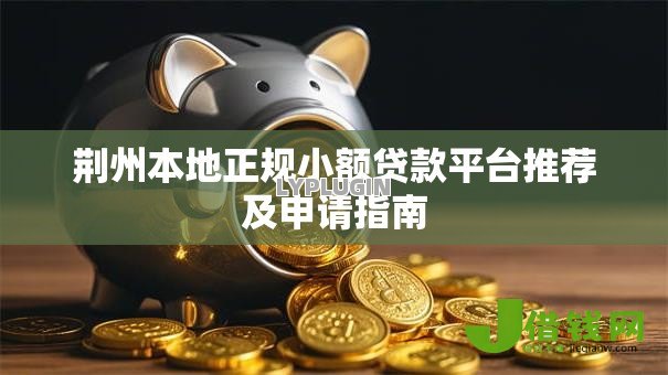 荆州本地正规小额贷款平台推荐及申请指南