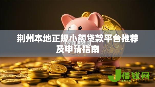荆州本地正规小额贷款平台推荐及申请指南