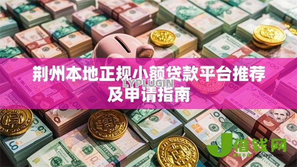 荆州本地正规小额贷款平台推荐及申请指南