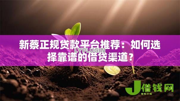 新蔡正规贷款平台推荐:如何选择靠谱的借贷渠道? 新蔡正规贷款平台推荐:如何选择靠谱的借贷渠道?