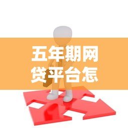 五年期网贷平台怎么选？真实评测与避坑指南