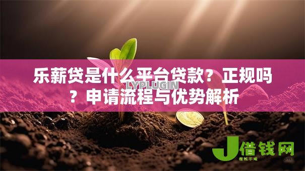 乐薪贷是什么平台贷款?正规吗?申请流程与优势解析 乐薪贷是什么平台贷款?正规吗?申请流程与优势解析
