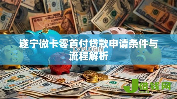 遂宁微卡零首付贷款申请条件与流程解析