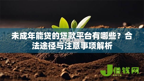 未成年能贷的贷款平台有哪些?合法途径与注意事项解析 未成年能贷的贷款平台有哪些?合法途径与注意事项解析