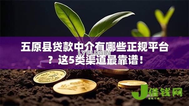 五原县贷款中介有哪些正规平台？这5类渠道最靠谱！