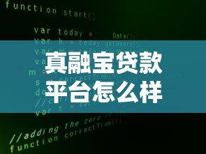 真融宝贷款平台怎么样？真实用户评测与申请攻略
