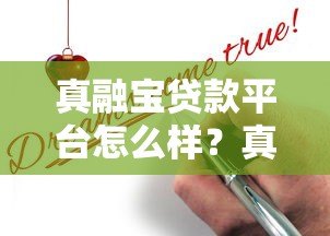 真融宝贷款平台怎么样？真实用户评测与申请攻略