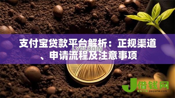 支付宝贷款平台解析:正规渠道、申请流程及注意事项 支付宝贷款平台解析:正规渠道、申请流程及注意事项