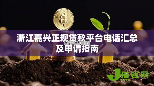 浙江嘉兴正规贷款平台电话汇总及申请指南 浙江嘉兴正规贷款平台电话汇总及申请指南
