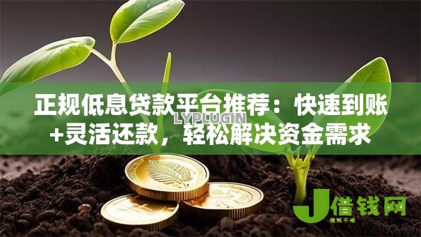 正规低息贷款平台推荐:快速到账+灵活还款,轻松解决资金需求 正规低息贷款平台推荐:快速到账+灵活还款,轻松解决资金需求
