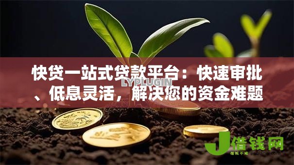 快贷一站式贷款平台：快速审批、低息灵活，解决您的资金难题