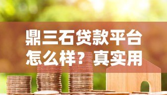 鼎三石贷款平台怎么样？真实用户评测与避坑指南