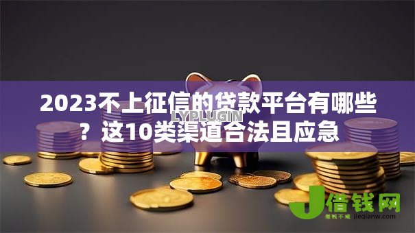 2023不上征信的贷款平台有哪些？这10类渠道合法且应急