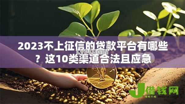 2023不上征信的贷款平台有哪些？这10类渠道合法且应急