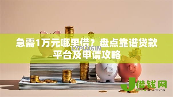 急需1万元哪里借？盘点靠谱贷款平台及申请攻略