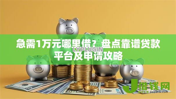 急需1万元哪里借？盘点靠谱贷款平台及申请攻略