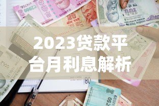 2023贷款平台月利息解析：哪家最划算？