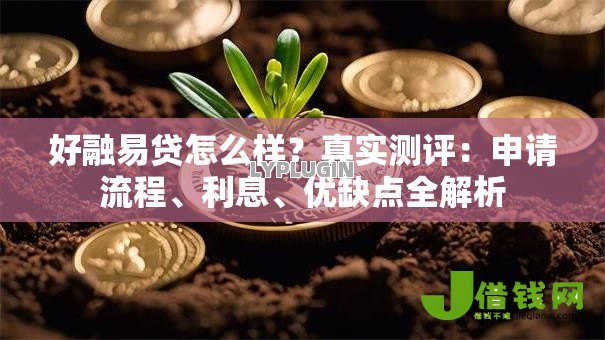 好融易贷怎么样?真实测评:申请流程、利息、优缺点全解析 好融易贷怎么样?真实测评:申请流程、利息、优缺点全解析
