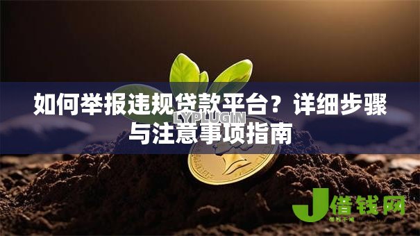 如何举报违规贷款平台?详细步骤与注意事项指南 如何举报违规贷款平台?详细步骤与注意事项指南